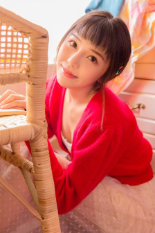 阿姆斯特丹恶棍